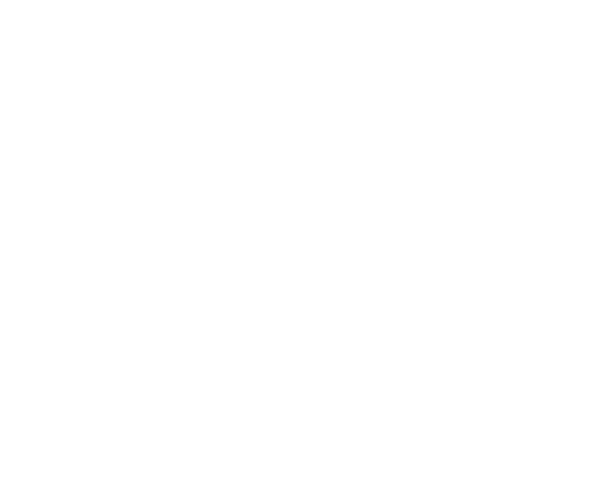 Signalytic Logo